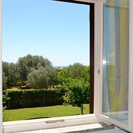 Near The With Garden Appartement