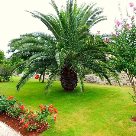 Near The With Garden