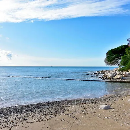 Near The With Garden Zambratija (Istria)